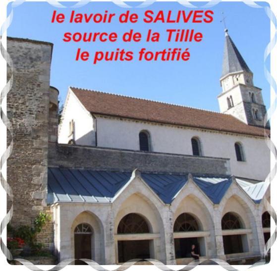 Le Puits Fortifié Salives Esterno foto
